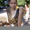 Svetiik